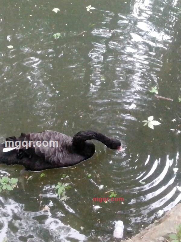 小草008的第1张照片