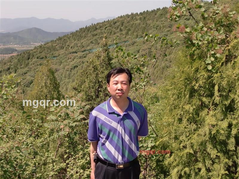 人生四十的第5张照片