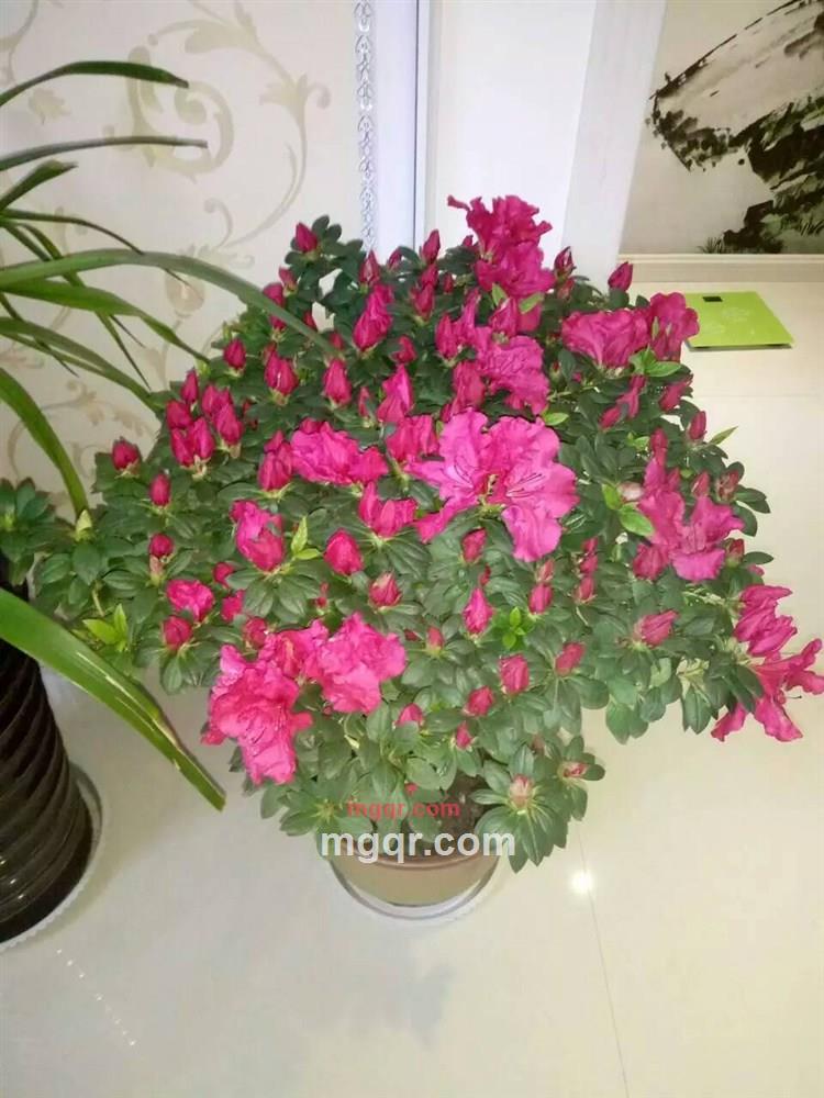 金琳飞天的第7张照片