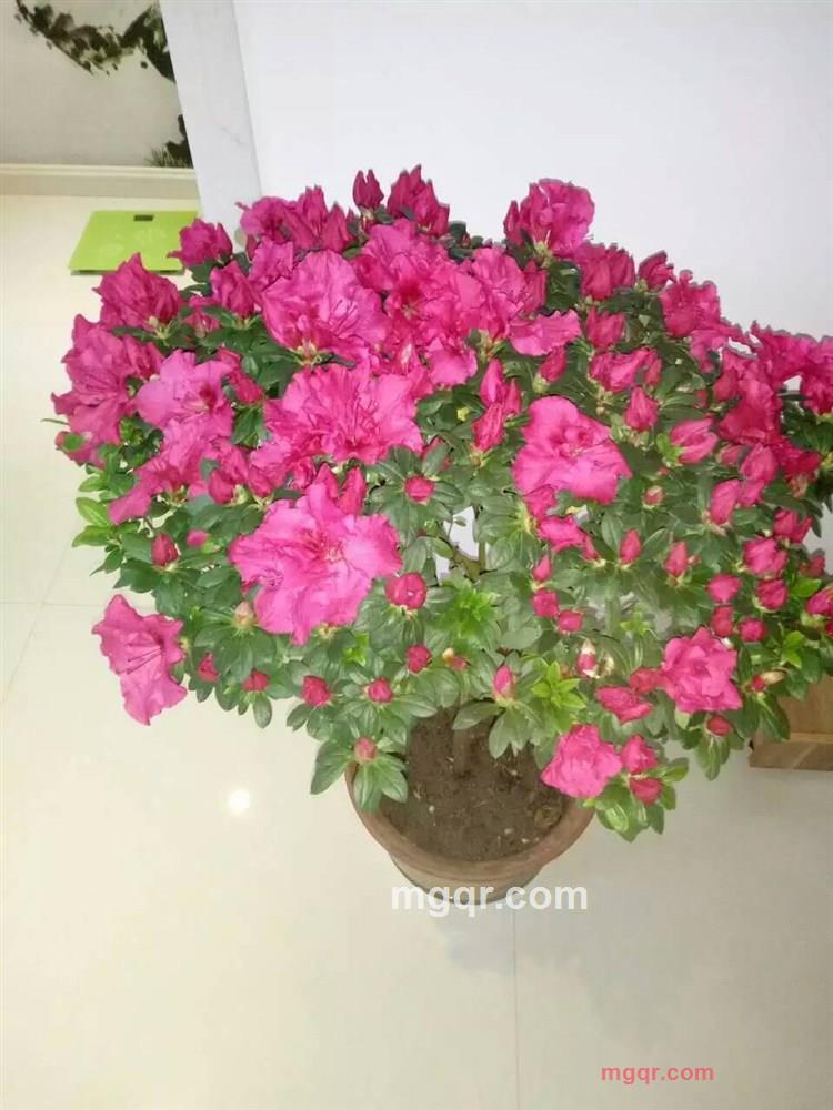 金琳飞天的第4张照片