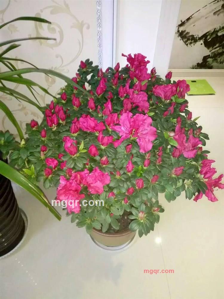 金琳飞天的第3张照片