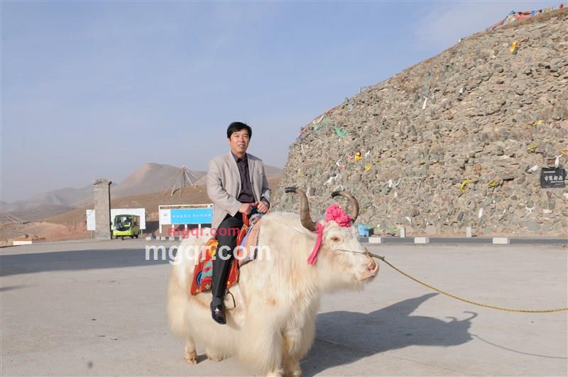 教育督导的第2张照片