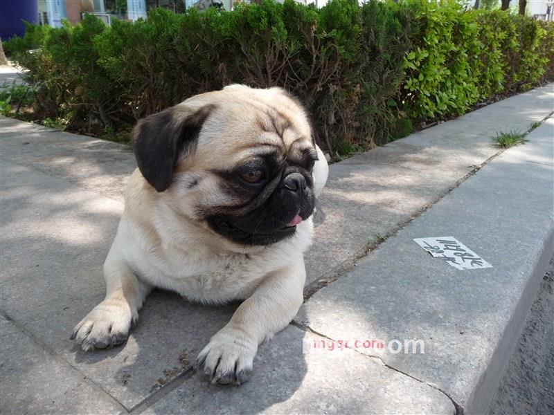 一见钟情999666的第1张照片