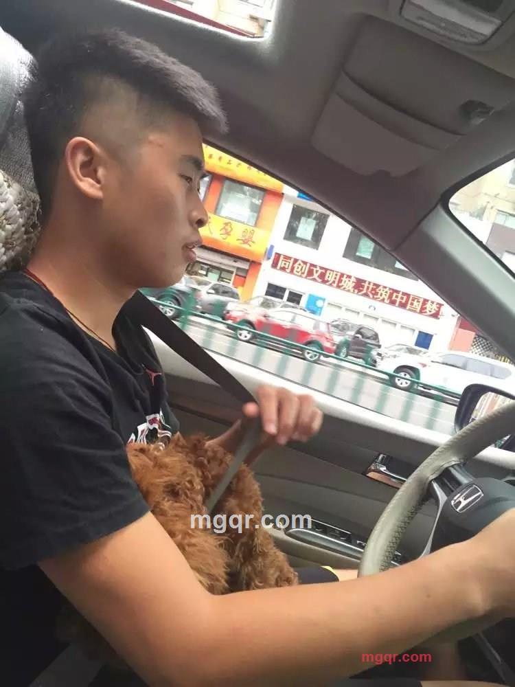 1东北小伙最迷人1的第4张照片