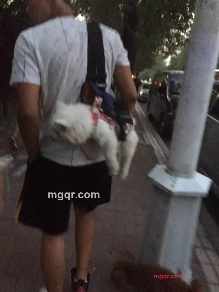 1东北小伙最迷人1的第3张照片