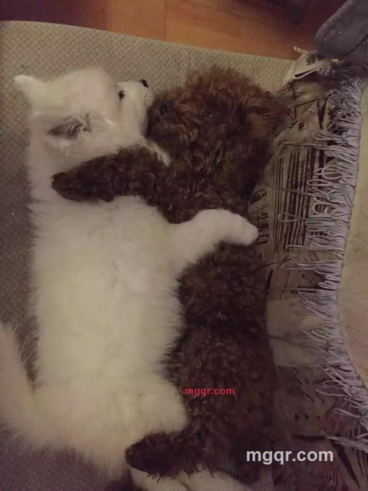 1东北小伙最迷人1的第6张照片