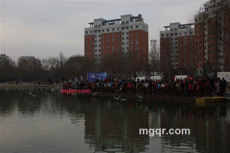 电磁铁钉的第2张照片