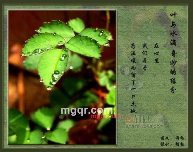 愉快男士的第1张照片