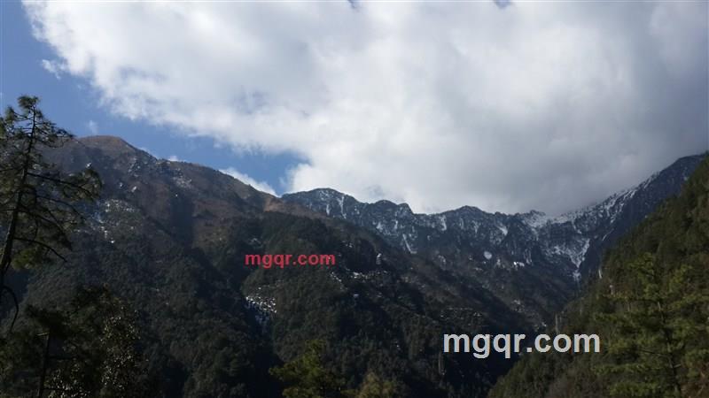 傻黄容的第1张照片