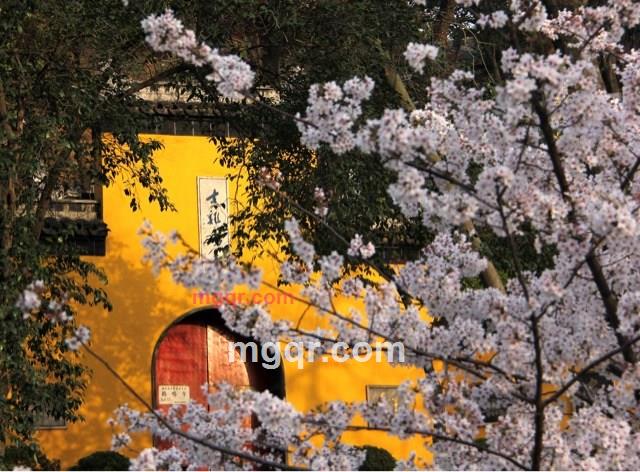 kkq789的第2张照片