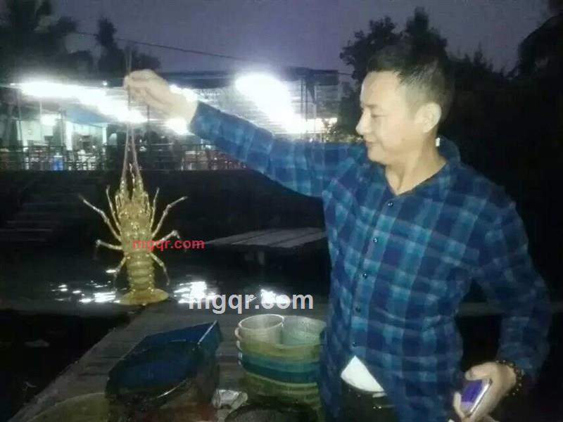 水似静的第4张照片