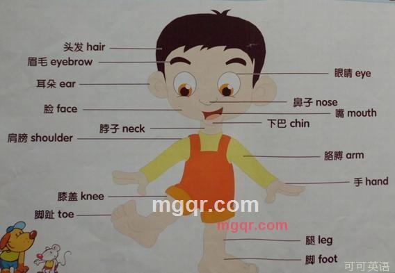 aaboiuy的第1张照片