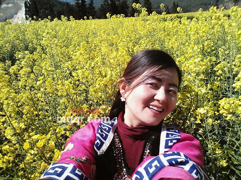 流萤微光的第2张照片