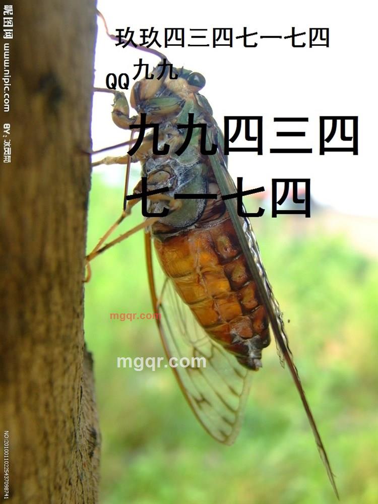 关山义士的第1张照片