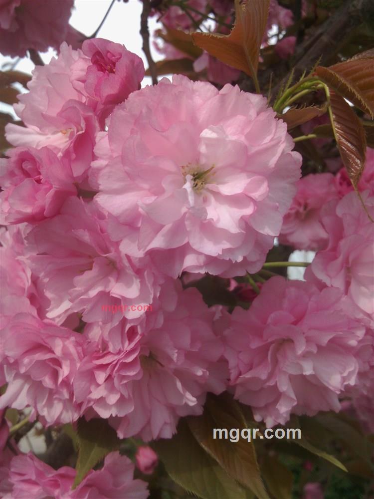 dsfdsfew的第3张照片