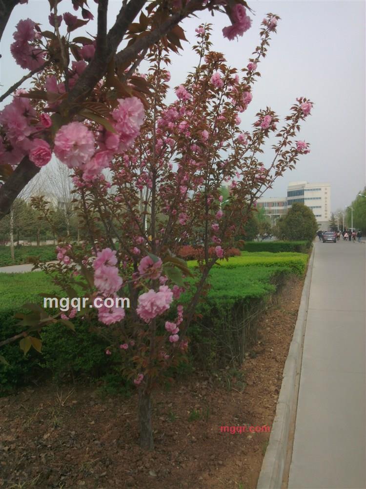 dsfdsfew的第1张照片