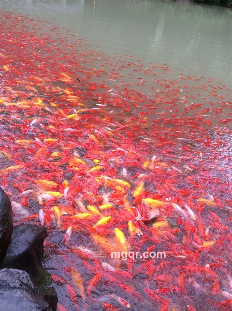 HZLS的第1张照片