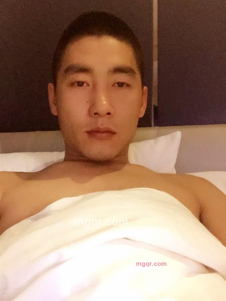 茶杯里的叶子的第6张照片