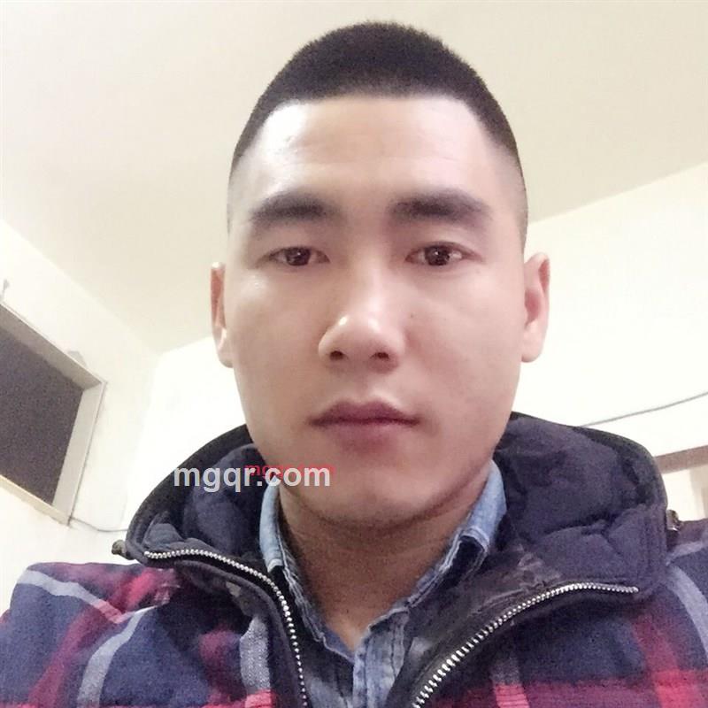 茶杯里的叶子的第1张照片