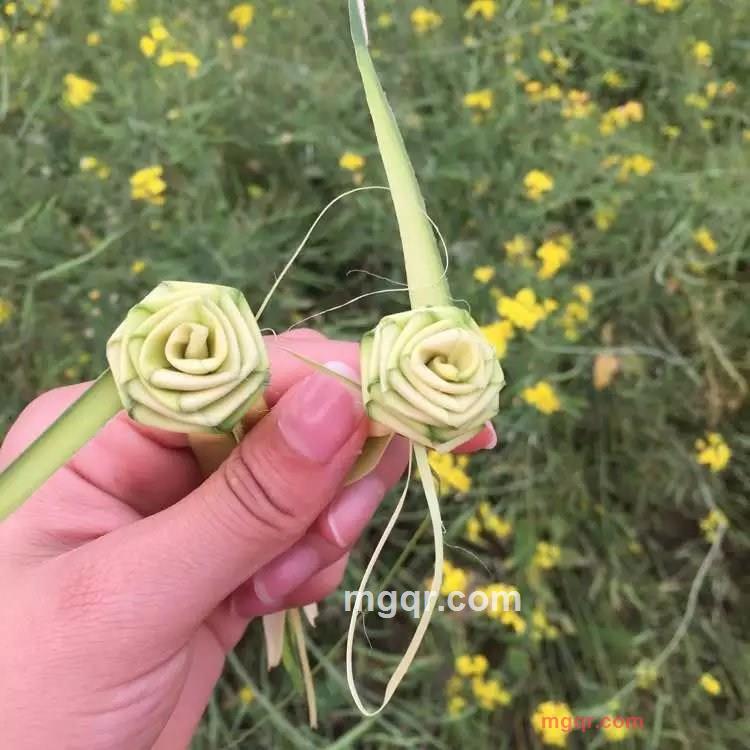 忧郁小草的第3张照片