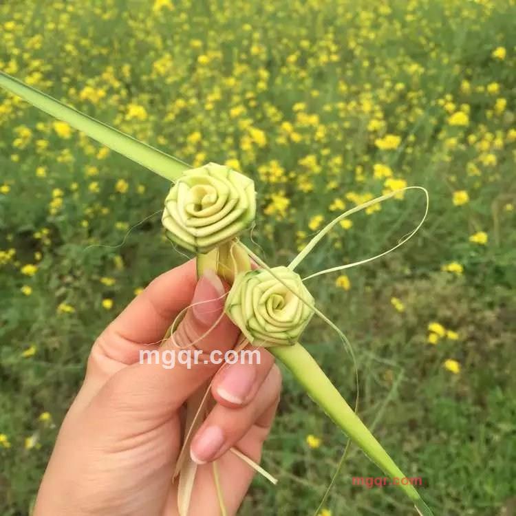 忧郁小草的第2张照片