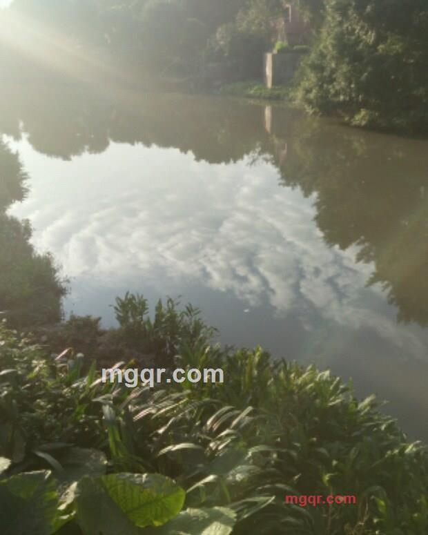 楚姜的第3张照片