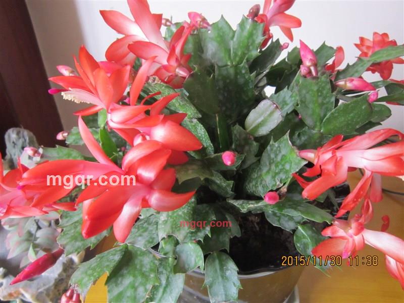 林中听山泉的第5张照片