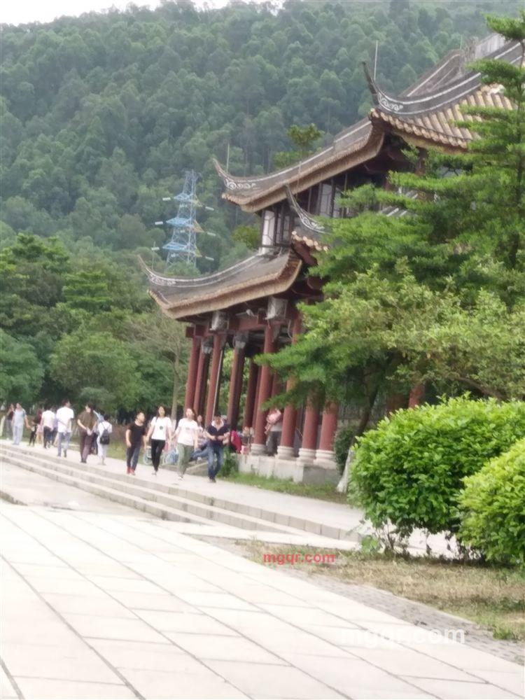 花香的第8张照片