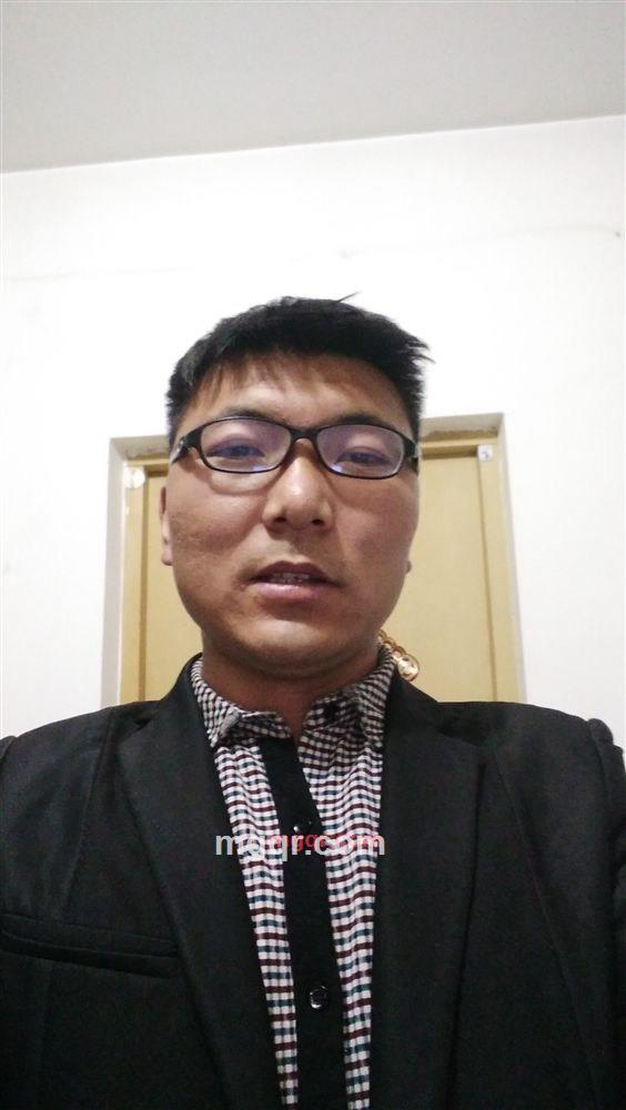 孤狼的第7张照片