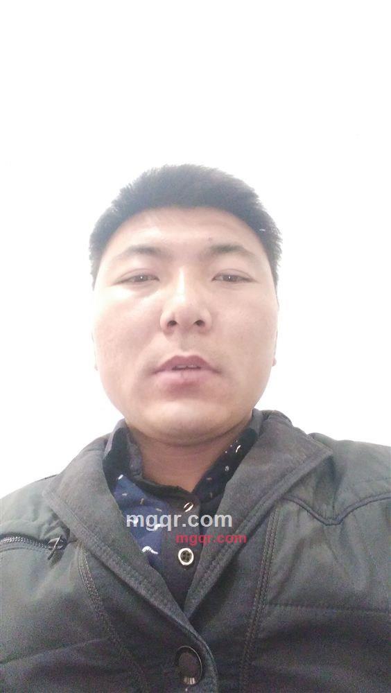 孤狼的第6张照片