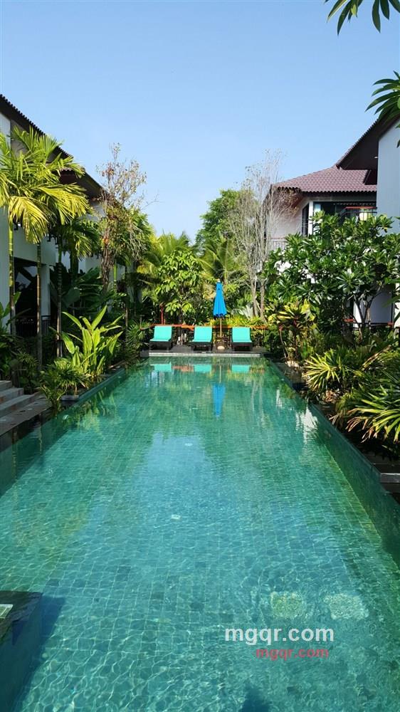 转身是缘的第1张照片