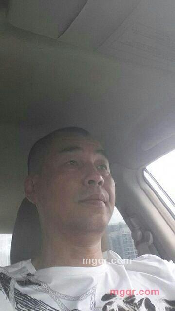 k爷找mm的第1张照片