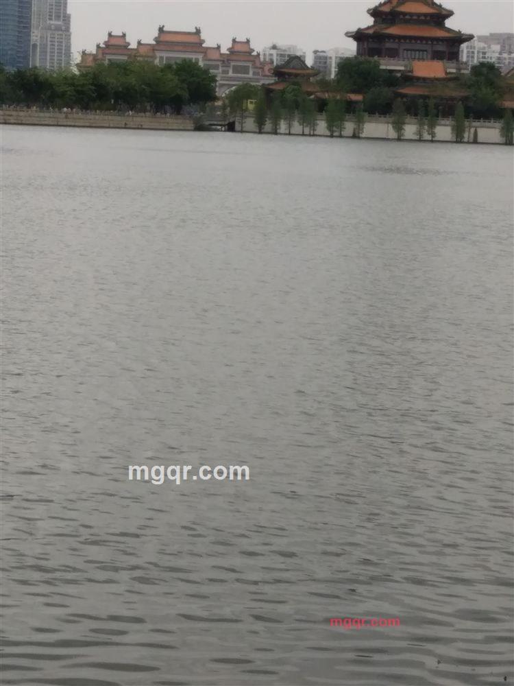 花香的第7张照片