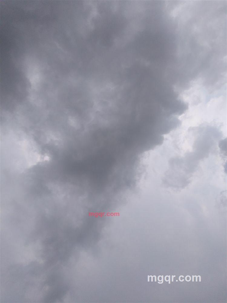 花香的第6张照片