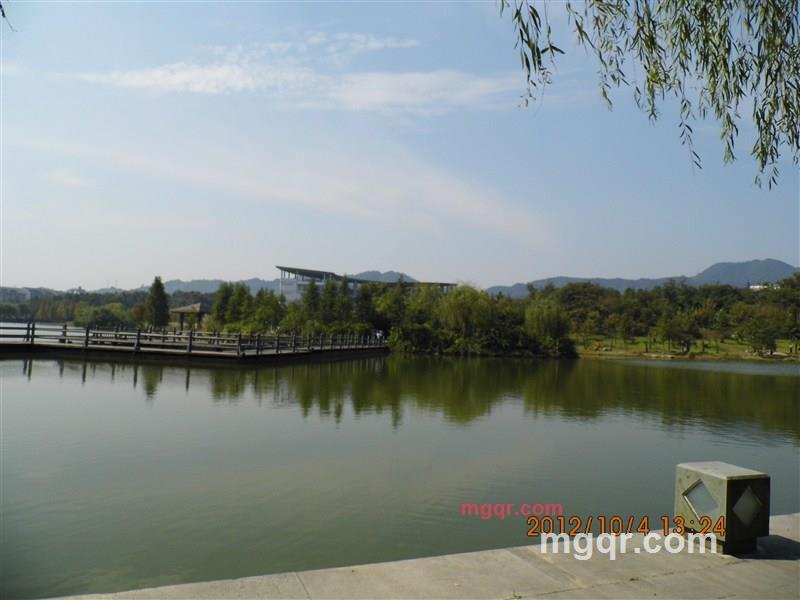 高大儒雅的第1张照片