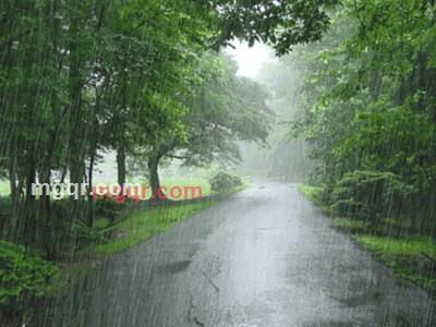 pel123456的第2张照片