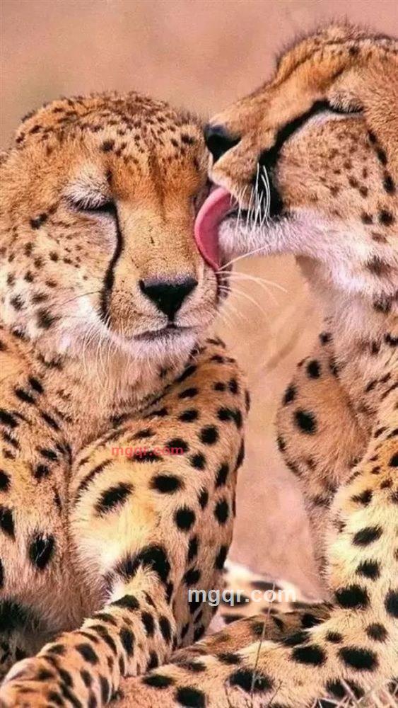 郁兰的第1张照片