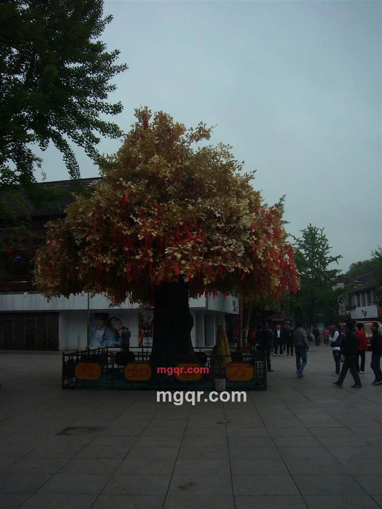 kswg的第4张照片