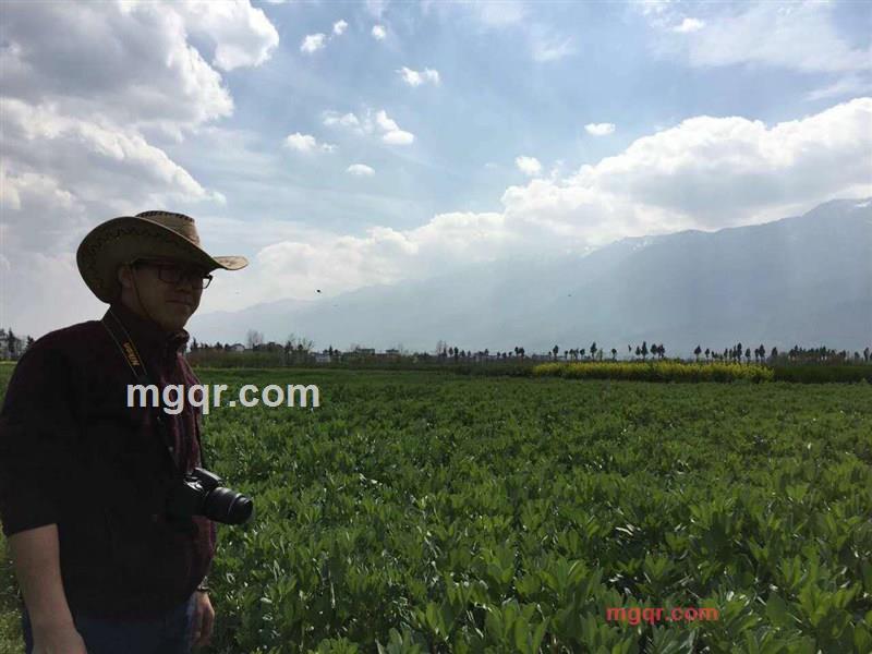 阿里布鲁的第1张照片