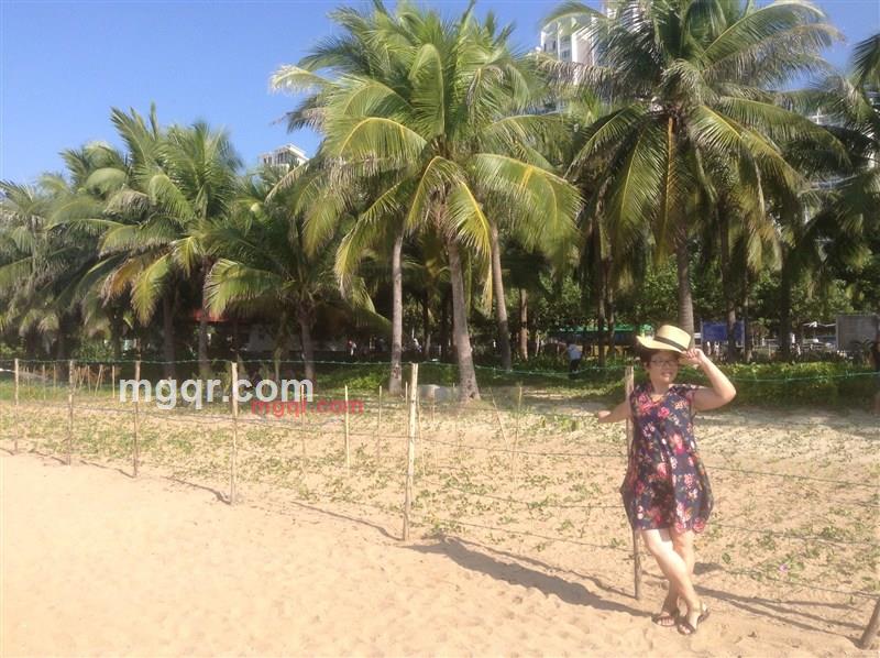 梅朵md的第2张照片