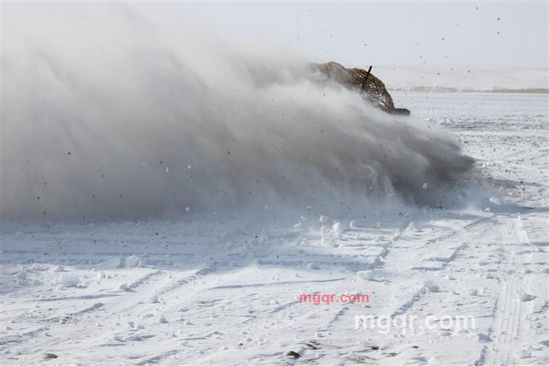 terracan的第2张照片