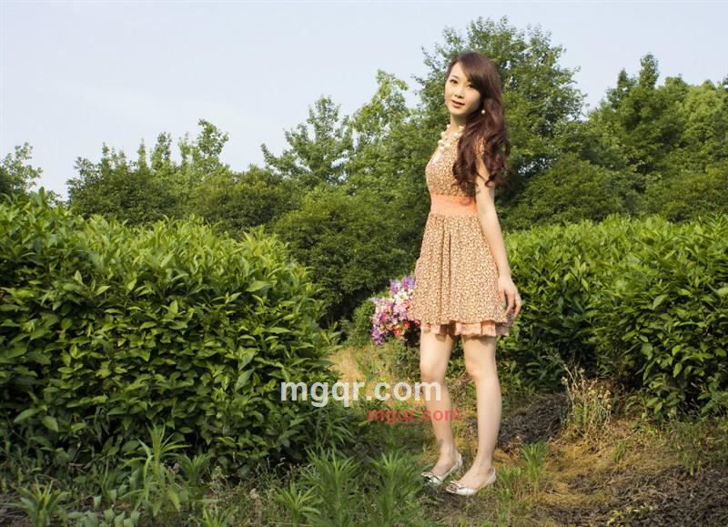 动听的风铃的第1张照片