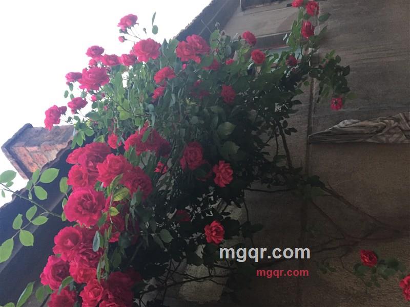 dingxue的第1张照片