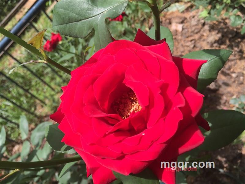 面对现实吧的第1张照片