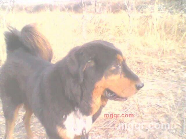 吹箫箫的第2张照片