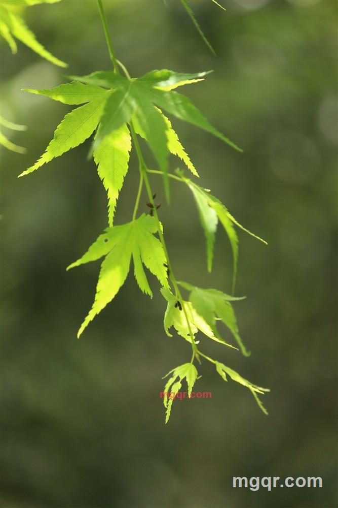 水巷口的第1张照片