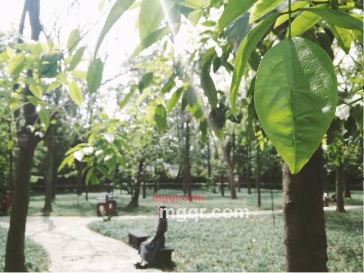 李苒的第1张照片