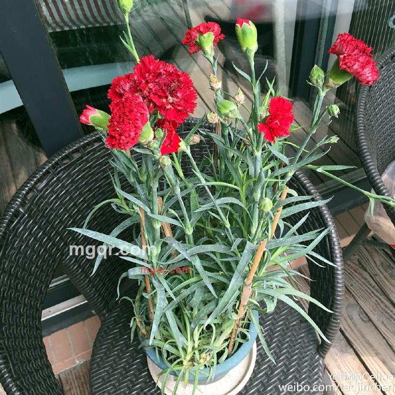 遇见既是美好的第2张照片