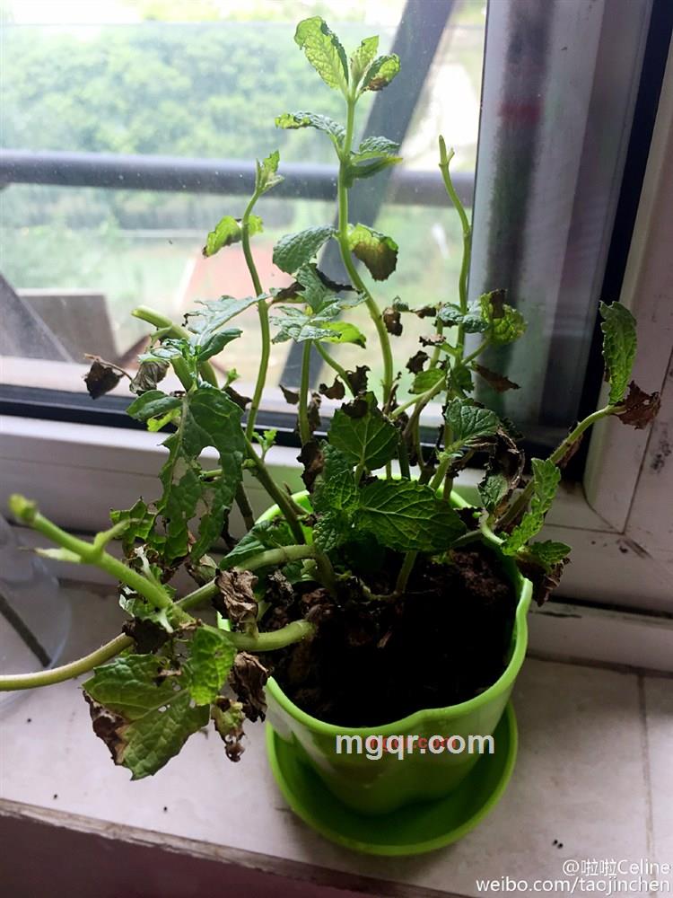 遇见既是美好的第3张照片