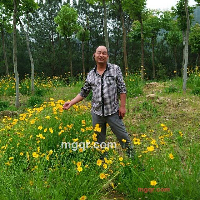 爱的边缘1889的第1张照片